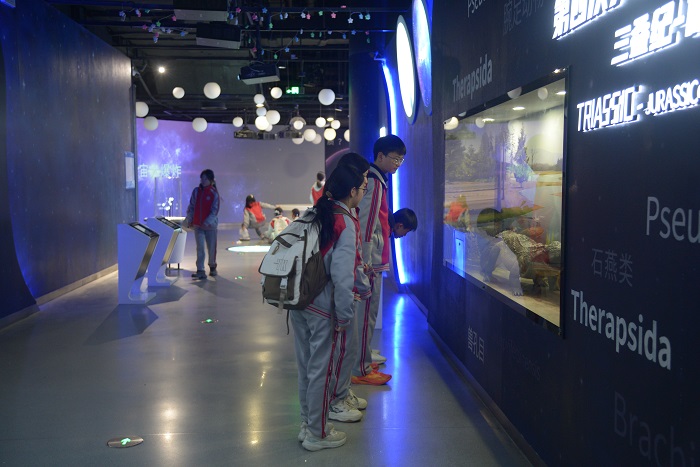 1765425478292001178.jpg 5.jpg